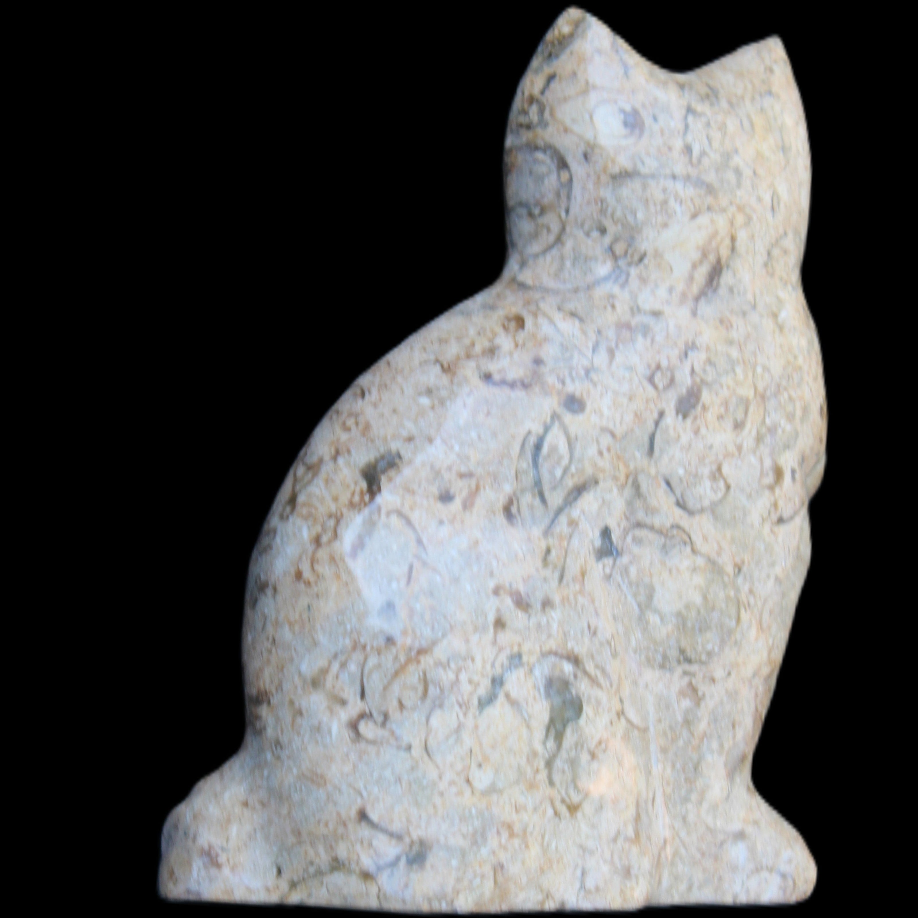 Fossil stone hand-carved Cat 81*45*115mm 534g in sunlight - Rocks and Things Store