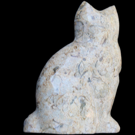 Fossil stone hand-carved Cat 81*45*115mm 534g in sunlight - Rocks and Things Store