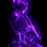 Marble hand-carved Cat 88*58*130mm 801g in UV light - Rocks and Things Store