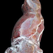 Marble hand-carved Cat 88*58*130mm 801g in sunlight - Rocks and Things Store