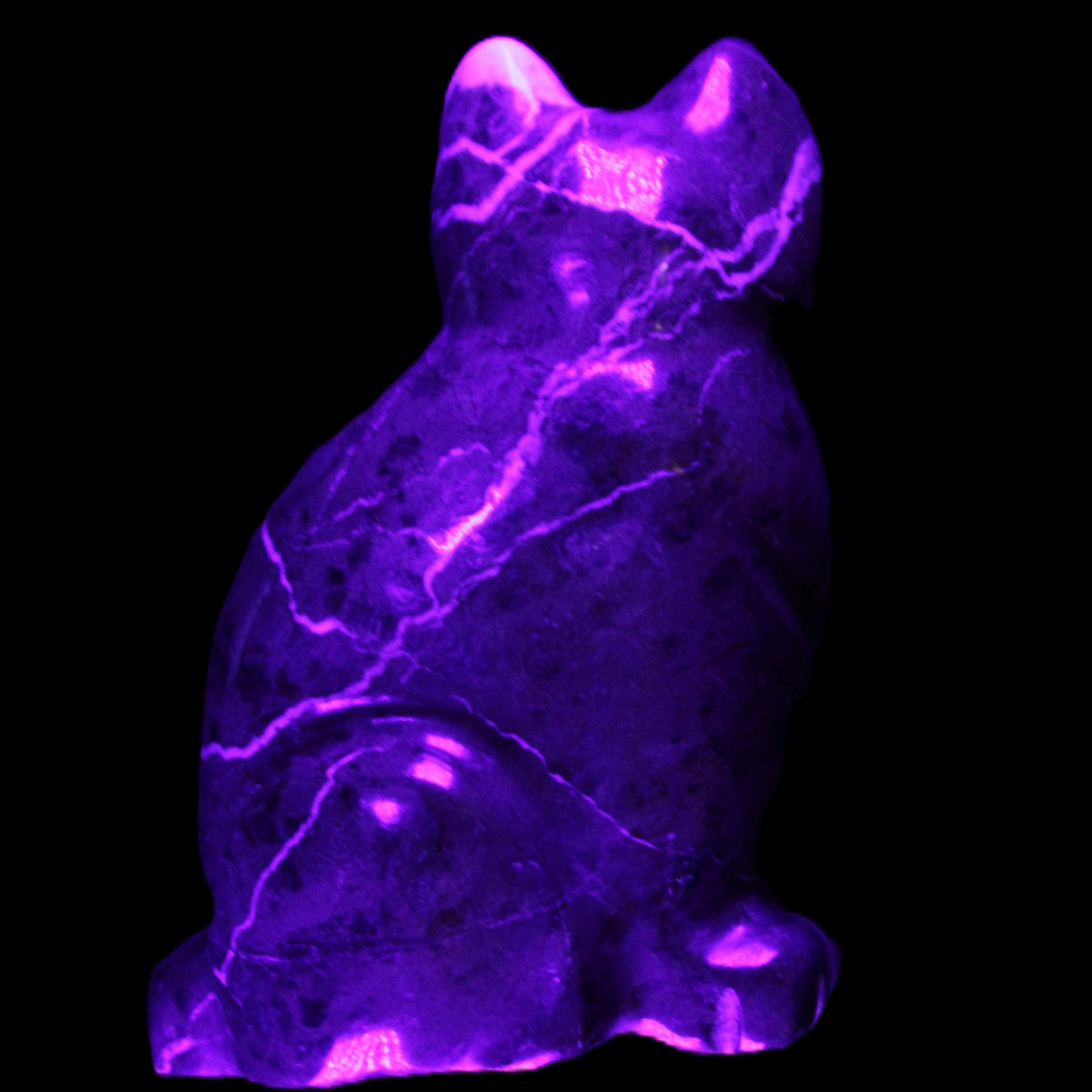 Marble hand-carved Cat 88*58*130mm 676g in UV light - Rocks and Things Store