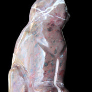 Marble hand-carved Cat 88*58*130mm 676g in sunlight - Rocks and Things Store