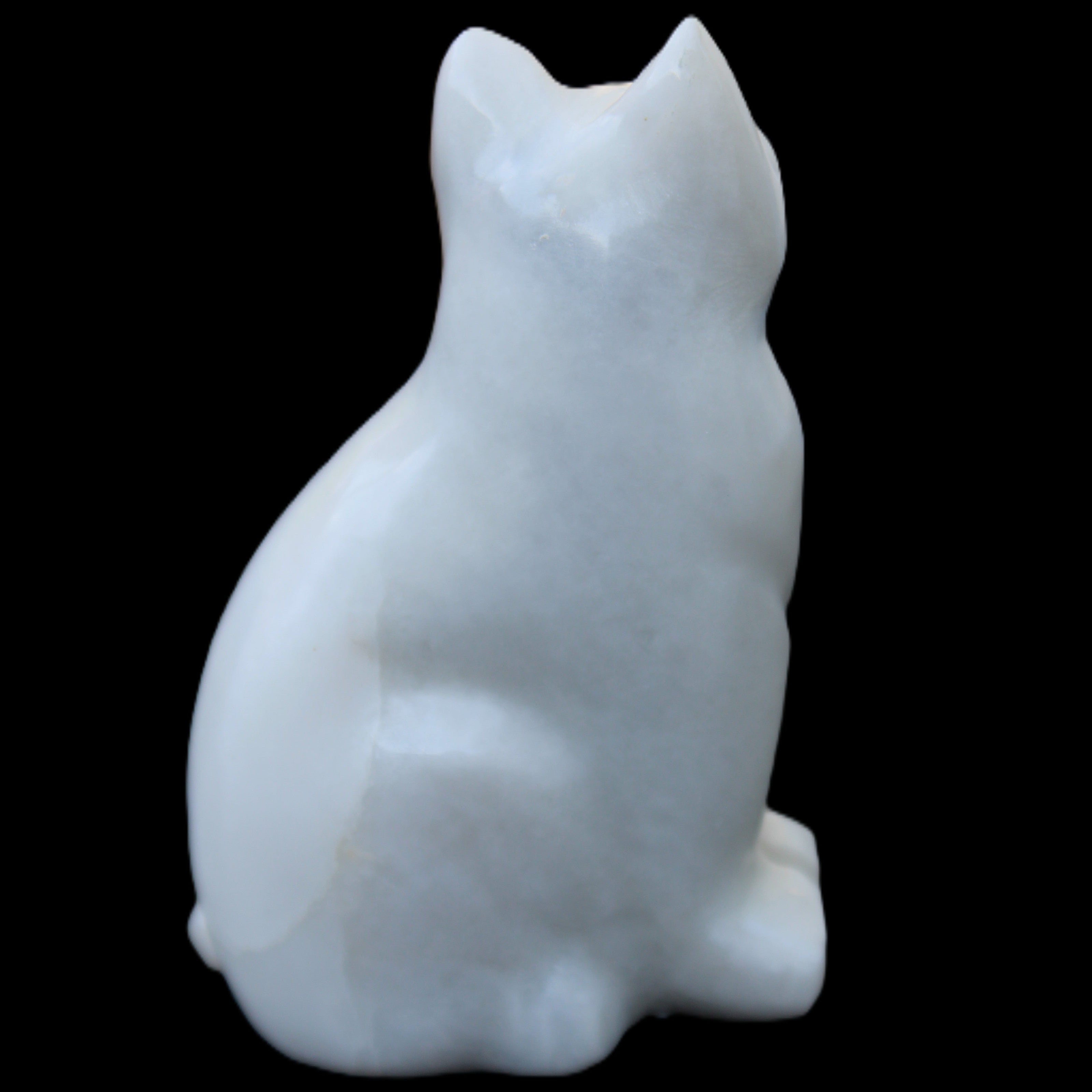 White Jade hand-carved Cat 69*46*111mm 466g in sunlight - Rocks and Things Store