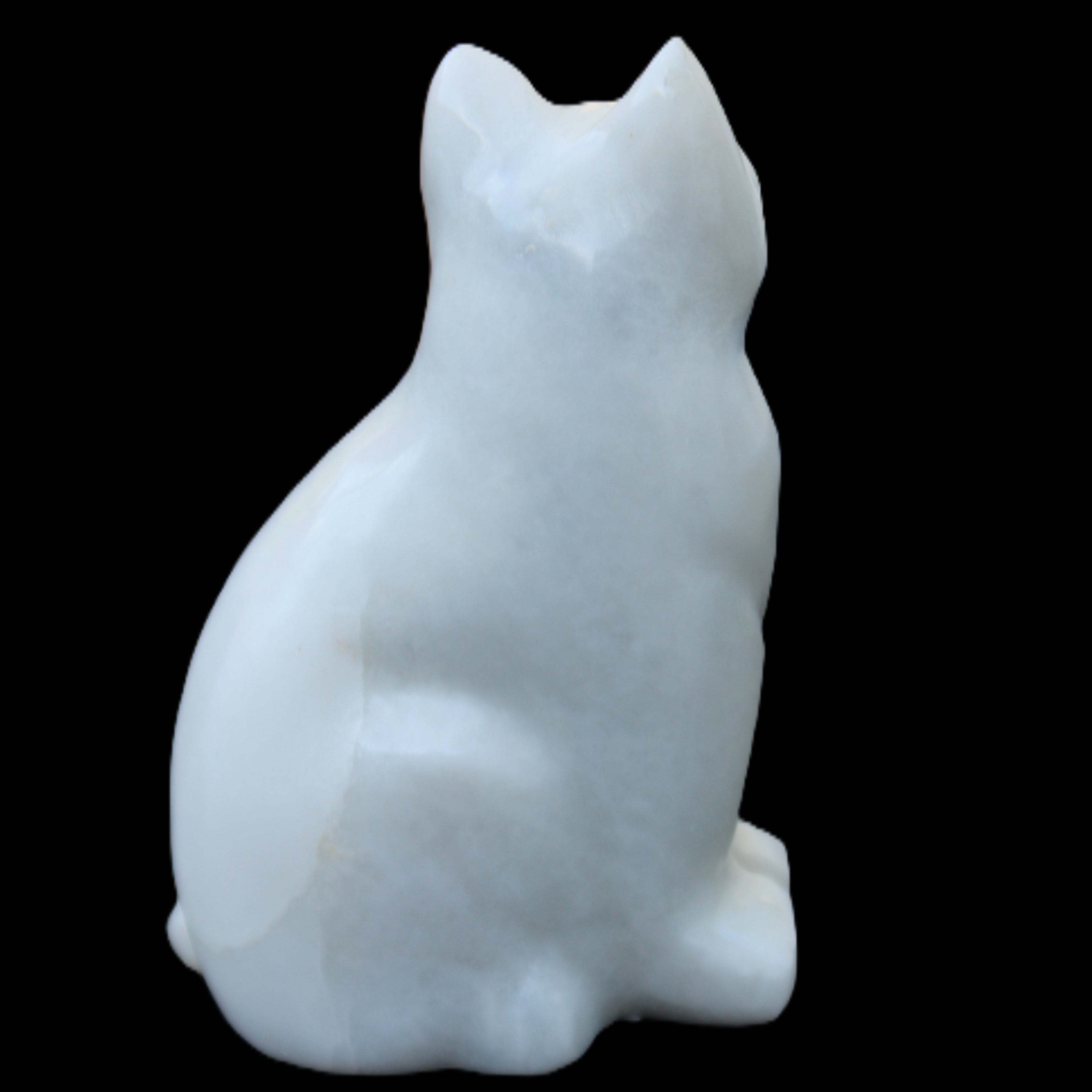 White Jade hand-carved Cat 69*46*111mm 466g in sunlight - Rocks and Things Store