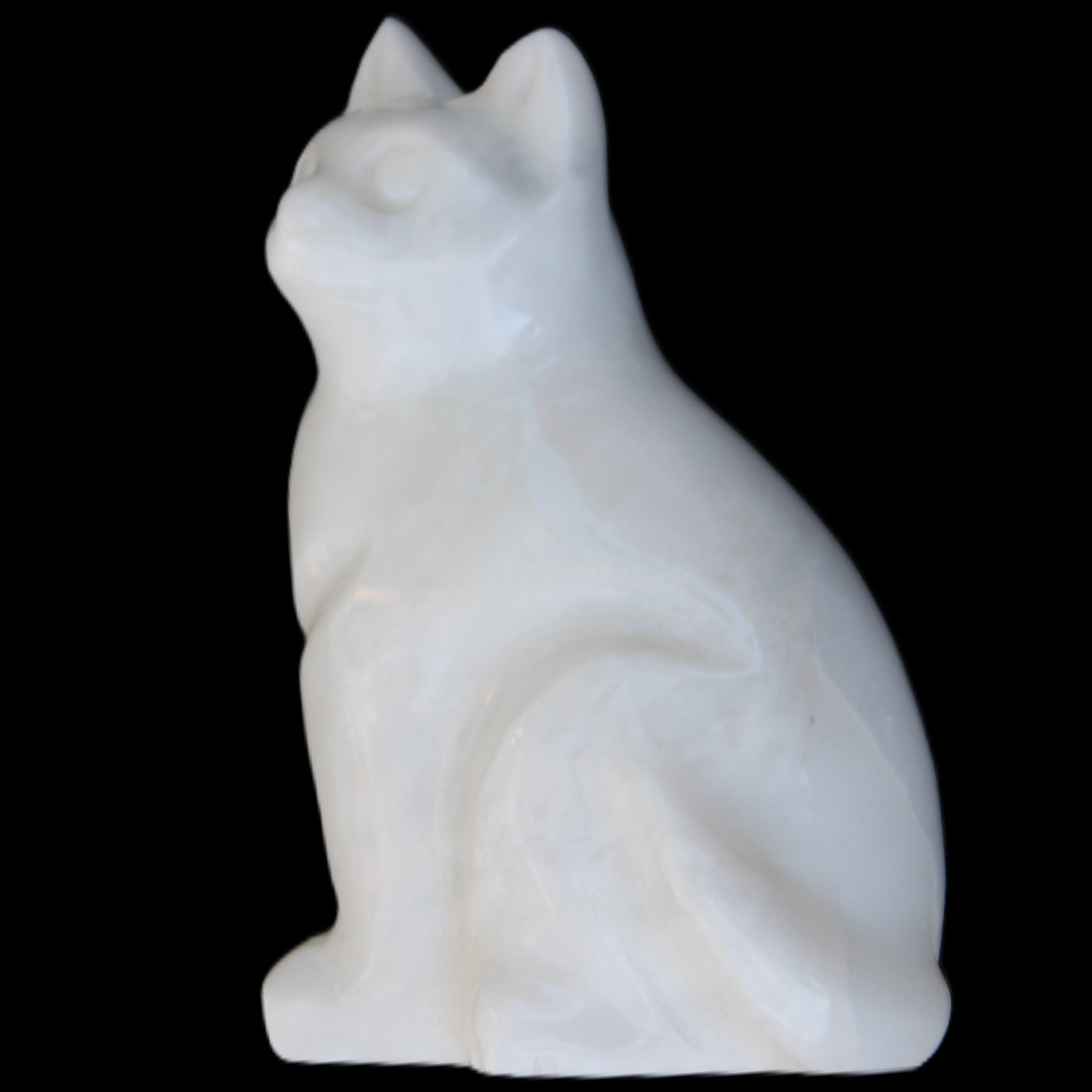 White Jade hand-carved Cat 69*46*111mm 466g in sunlight - Rocks and Things Store