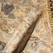 Fossil Rock hand-carved boat 210*55*232mm 1300g in sunlight - Rocks and Things Store