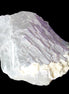 Clear with Violet tinged Fluorite cubic cluster 75*72*55mm 386g in sunlight - Rocks and Things Store