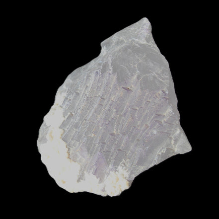 Clear with Violet tinged Fluorite cubic cluster 75*72*55mm 386g in sunlight - Rocks and Things Store