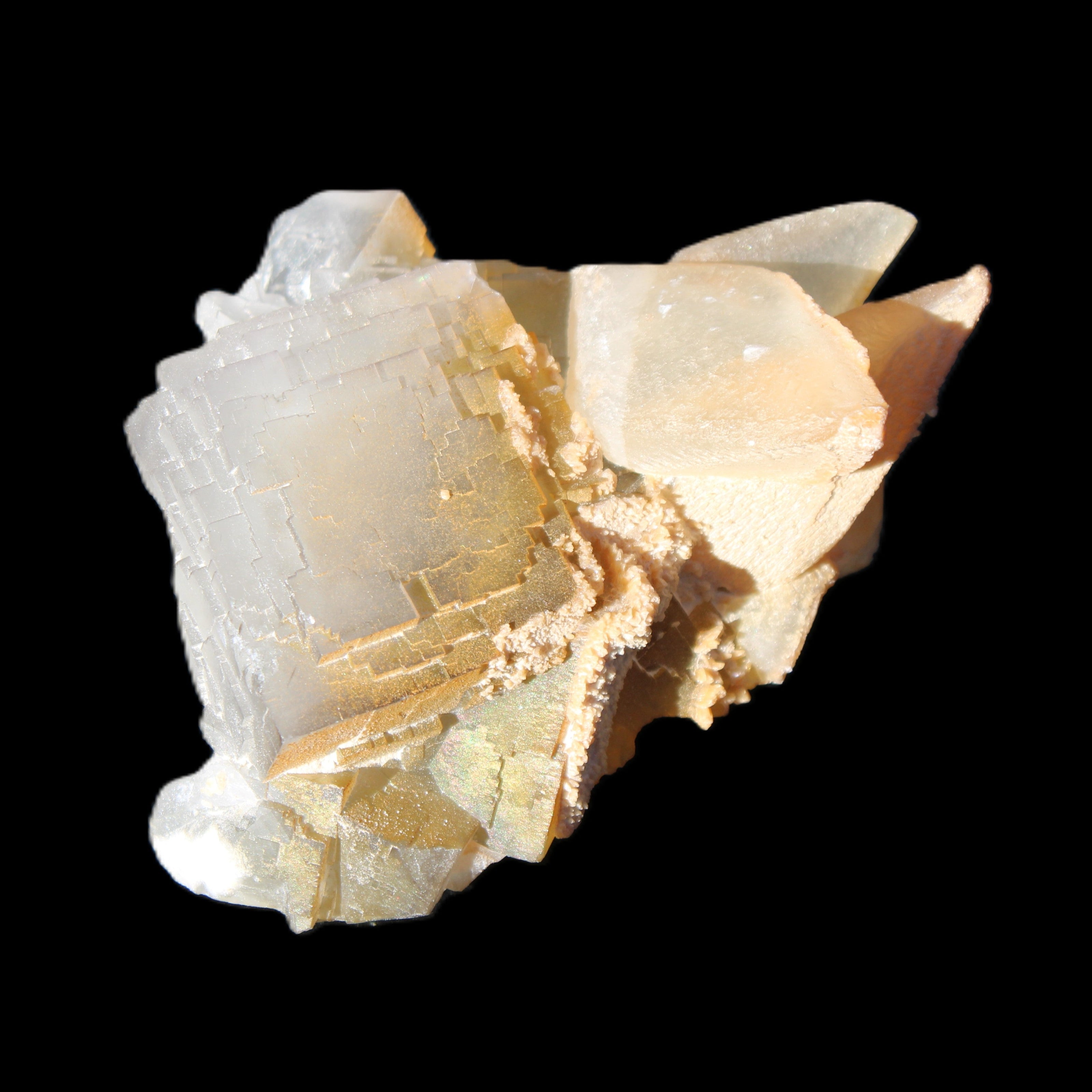 Clear Yellow Fluorite with 45mm dog-tooth Calcite 98*76*55mm 286g in sunlight - Rocks and Things Store