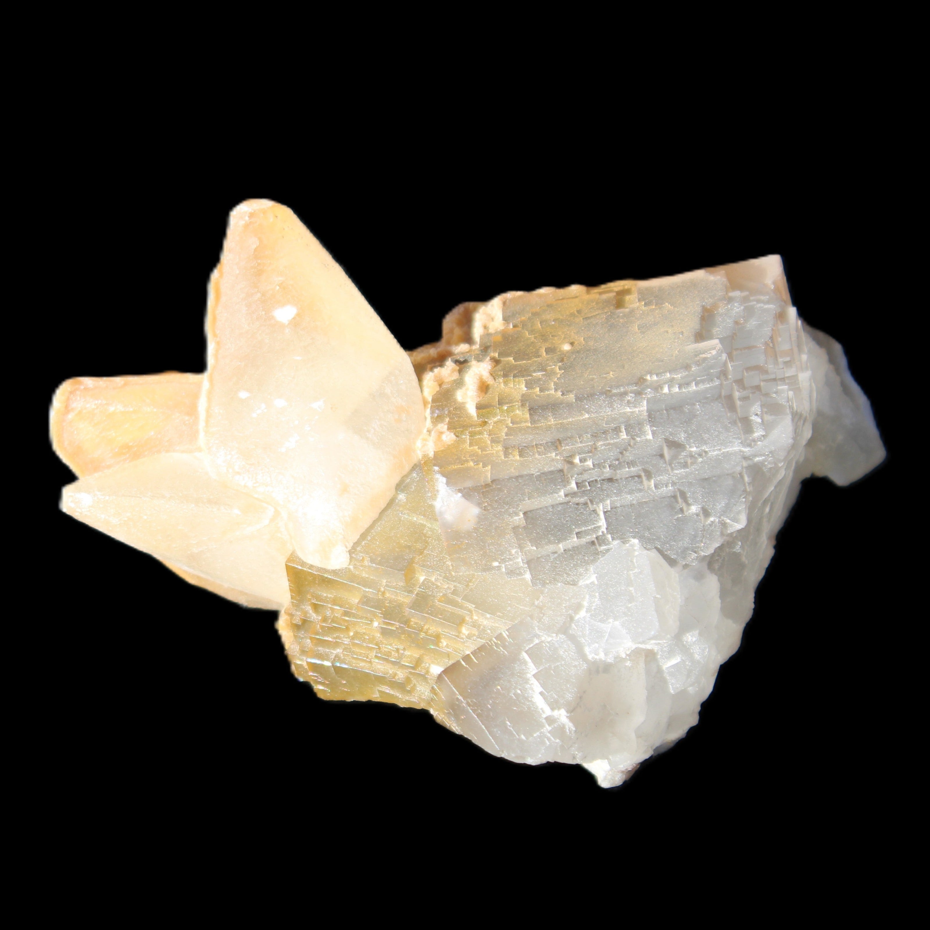 Clear Yellow Fluorite with 45mm dog-tooth Calcite 98*76*55mm 286g in sunlight - Rocks and Things Store