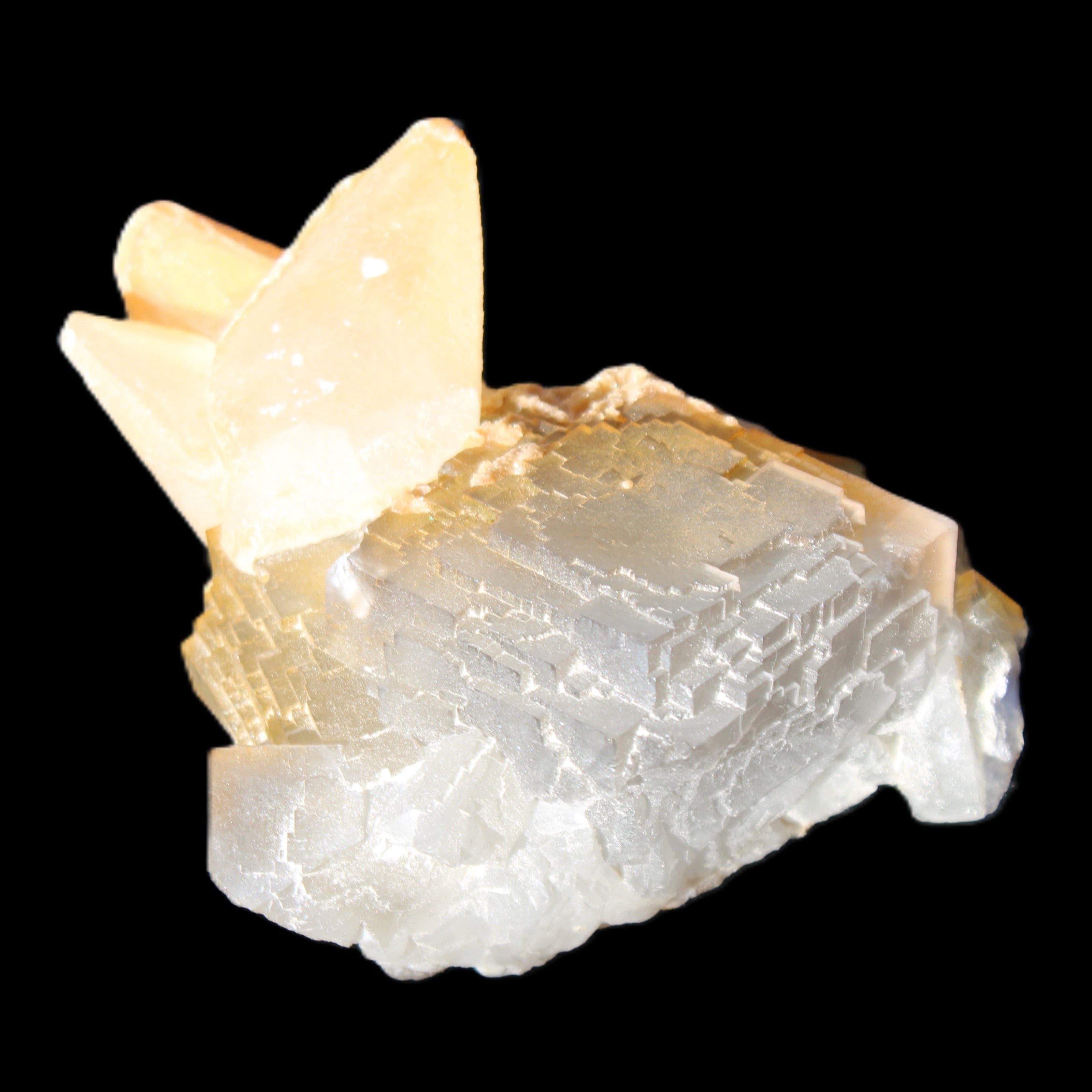 Clear Yellow Fluorite with 45mm dog-tooth Calcite 98*76*55mm 286g in sunlight - Rocks and Things Store