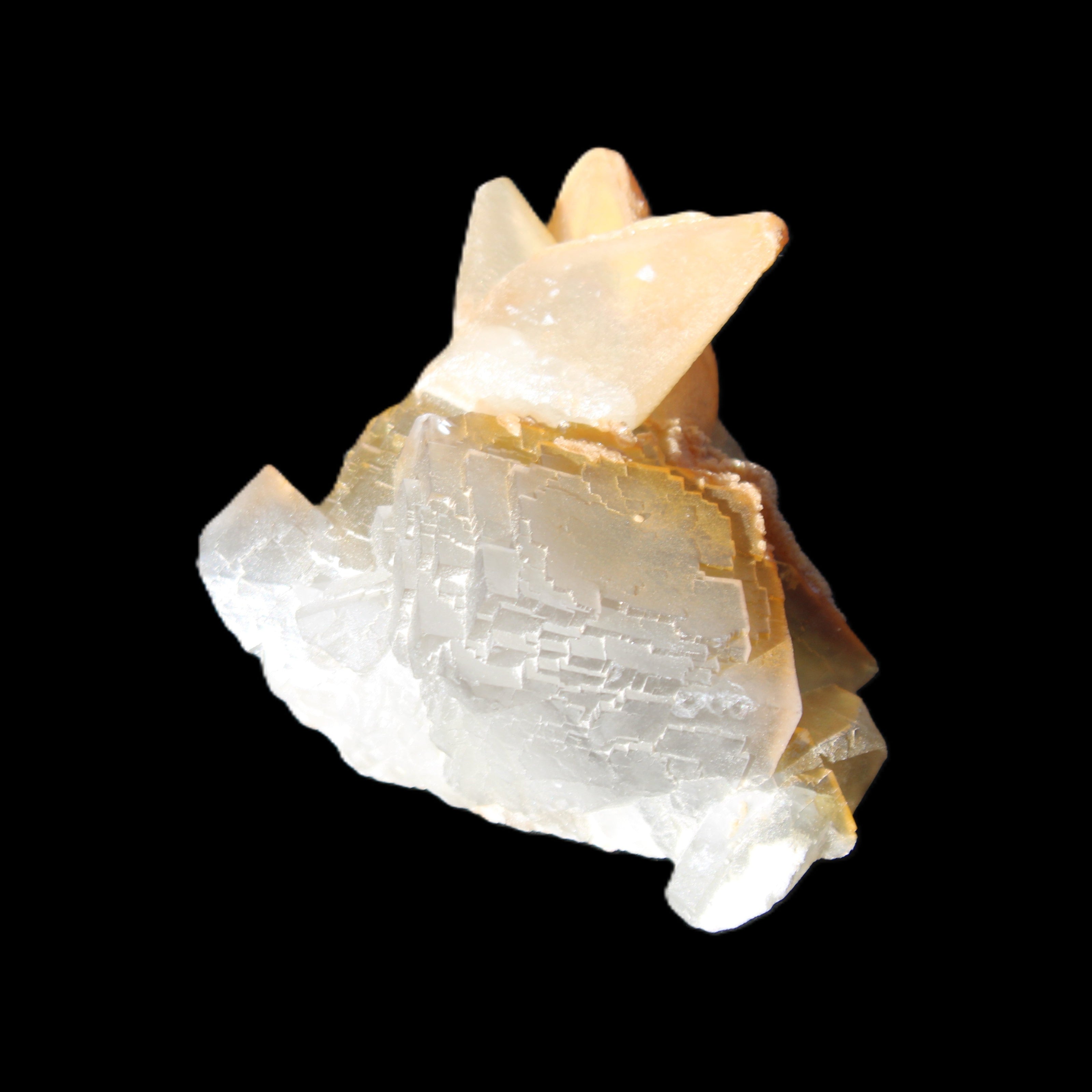 Clear Yellow Fluorite with 45mm dog-tooth Calcite 98*76*55mm 286g in sunlight - Rocks and Things Store