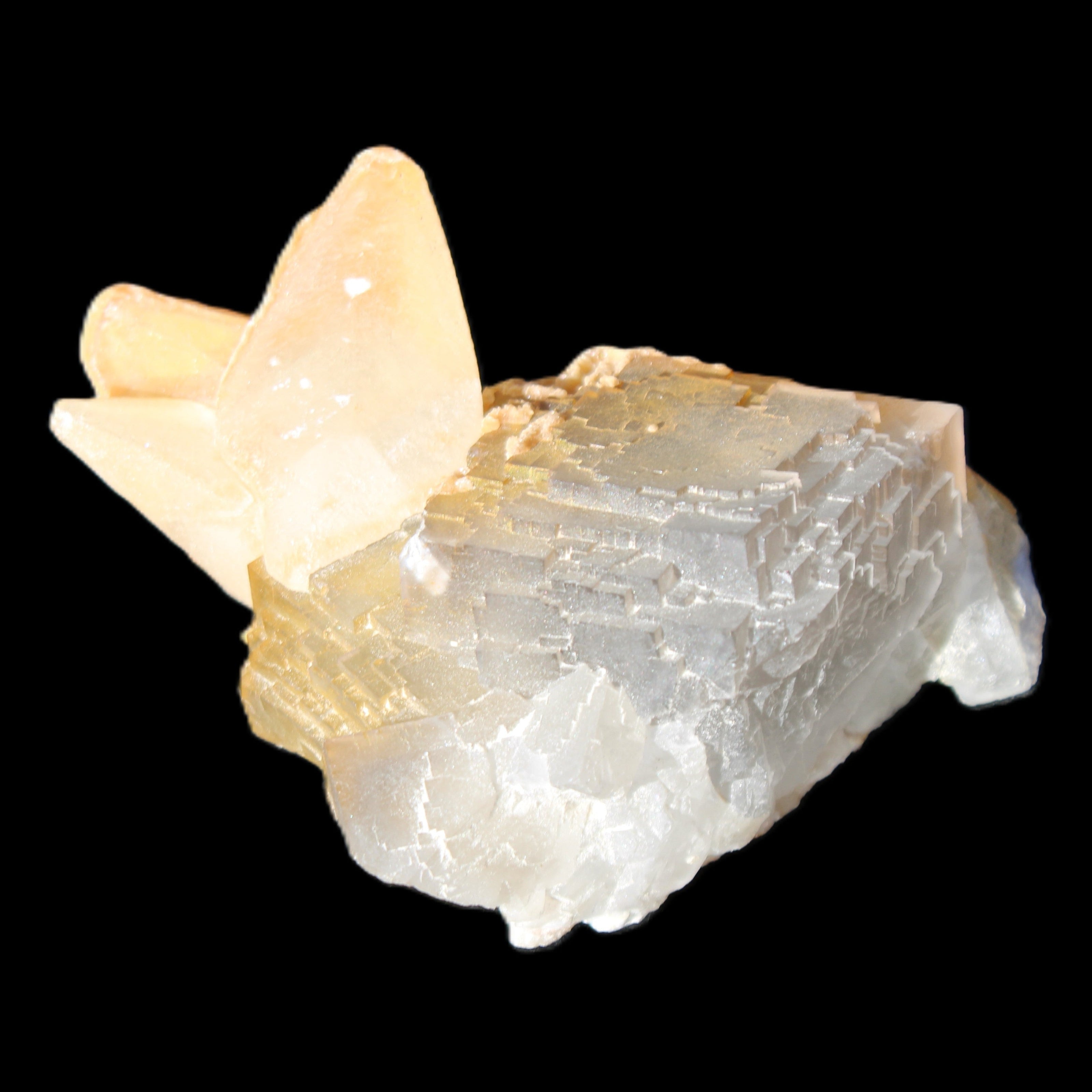 Clear Yellow Fluorite with 45mm dog-tooth Calcite 98*76*55mm 286g in sunlight - Rocks and Things Store