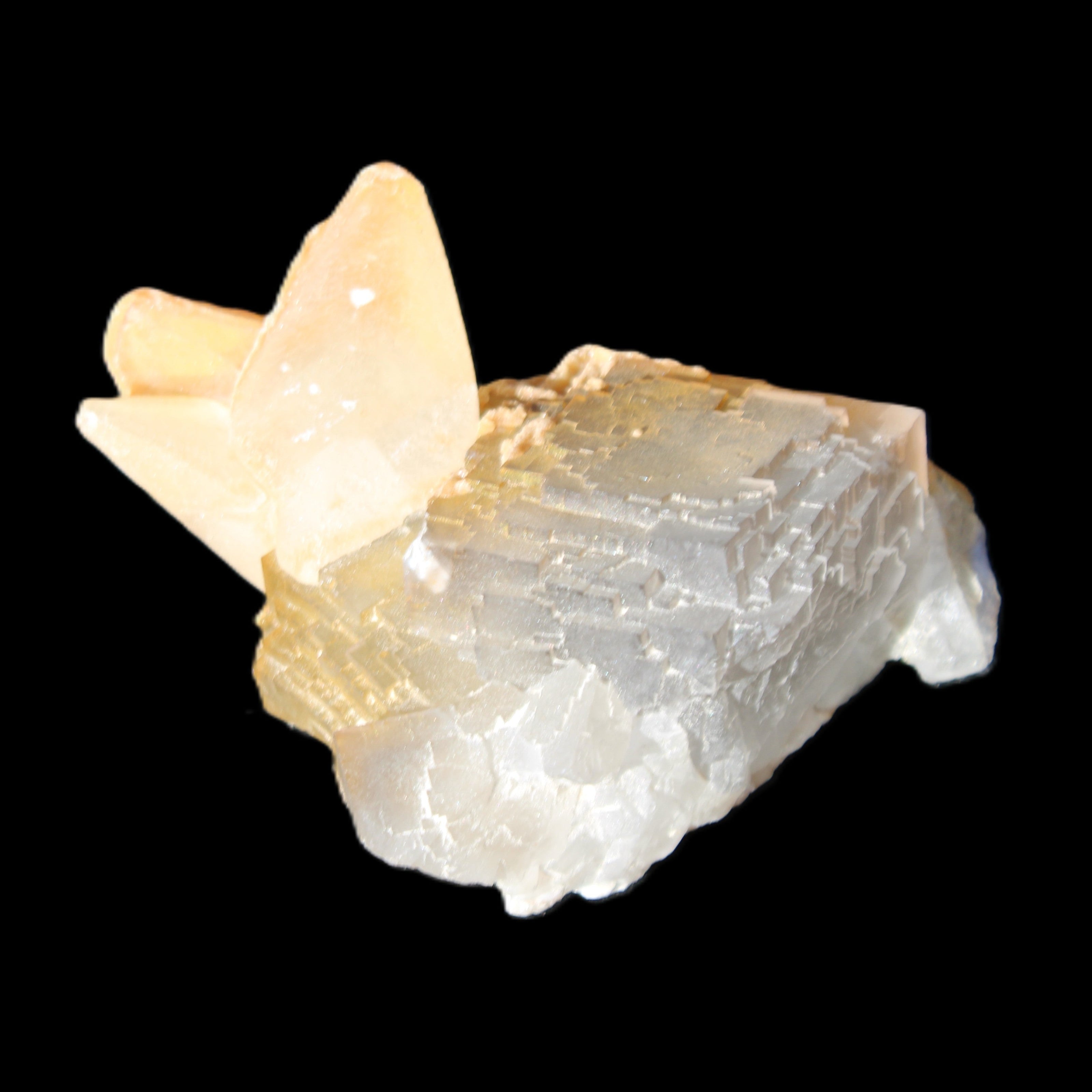 Clear Yellow Fluorite with 45mm dog-tooth Calcite 98*76*55mm 286g in sunlight - Rocks and Things Store