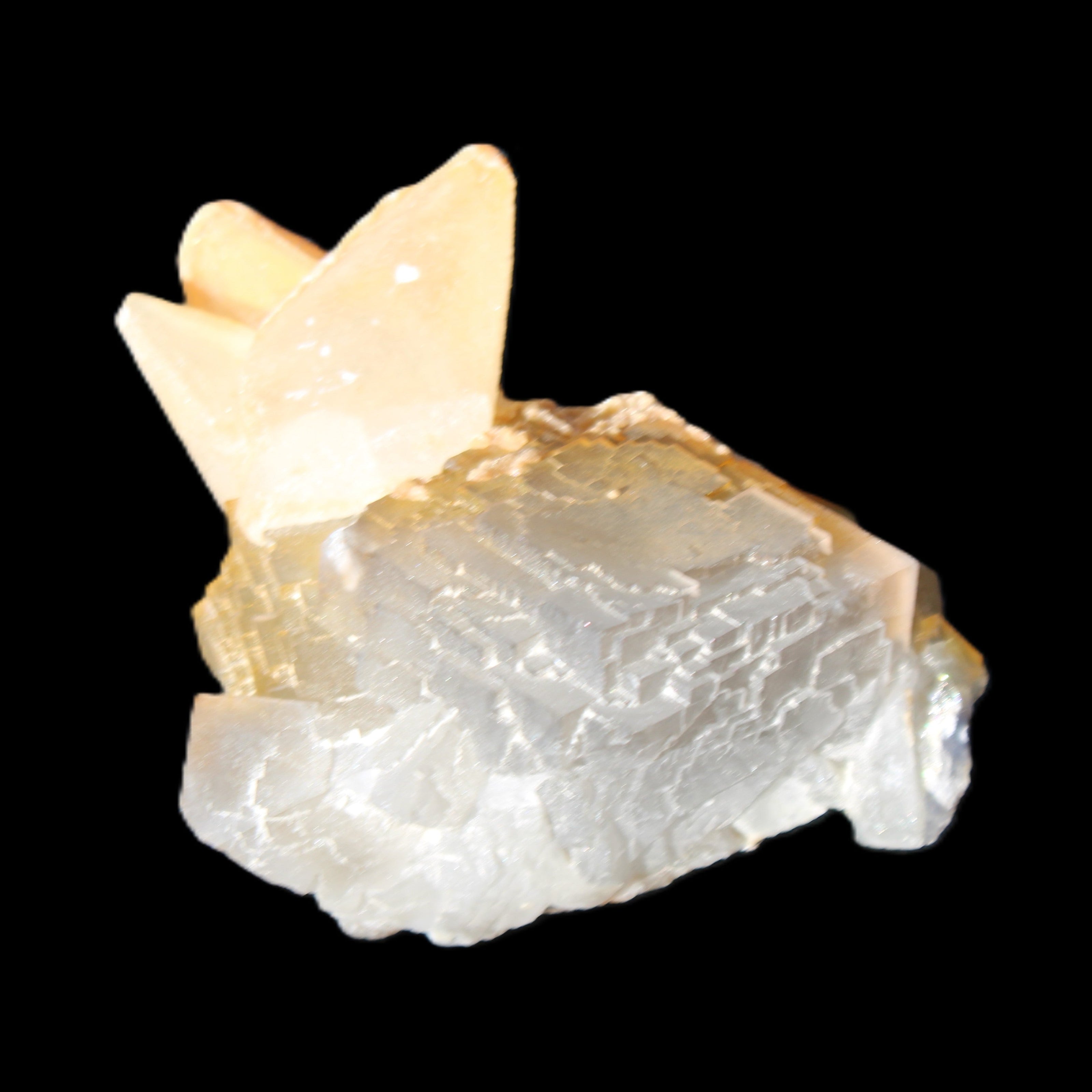 Clear Yellow Fluorite with 45mm dog-tooth Calcite 98*76*55mm 286g in sunlight - Rocks and Things Store