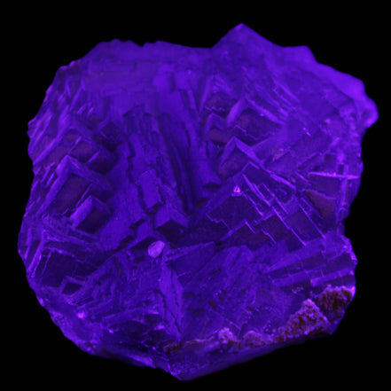 Clear Fluorite cubic stepped cluster 104*72*50mm 660g in UV light - Rocks and Things Store