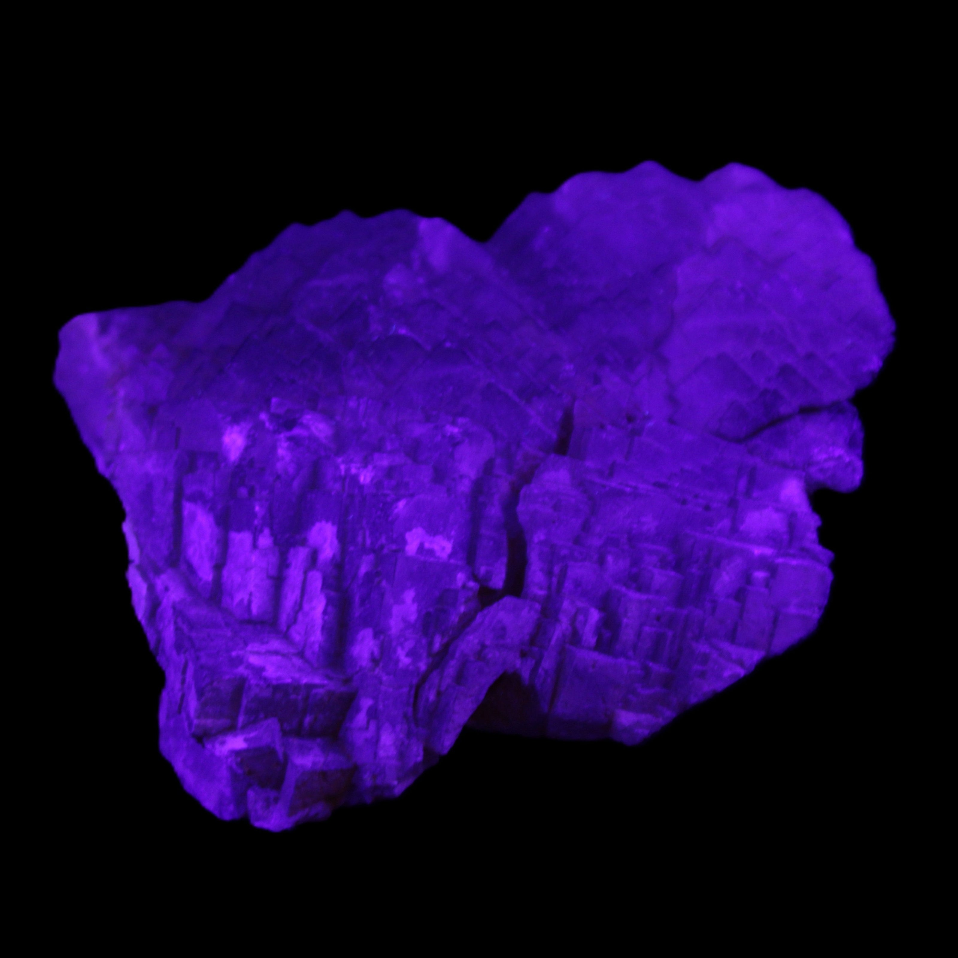 Clear Fluorite stepped cluster 87*80*28mm 238g in UV light - Rocks and Things Store