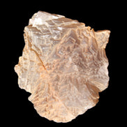 Clear Fluorite stepped cluster 87*80*28mm 238g in sunlight - Rocks and Things Store