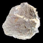 Clear and Coloured Fluorite cluster 110*100*58mm 1056g in sunlight - Rocks and Things Store