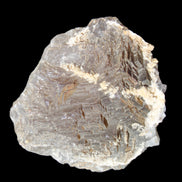 Clear and Coloured Fluorite cluster 110*100*58mm 1056g in sunlight - Rocks and Things Store