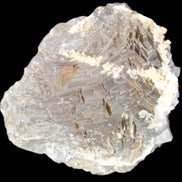 Clear and Coloured Fluorite cluster 110*100*58mm 1056g in sunlight - Rocks and Things Store
