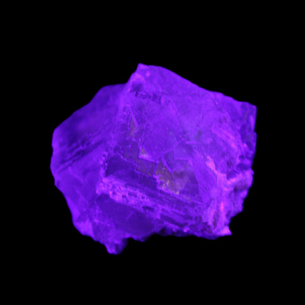 Clear Fluorite cubic cluster 45*40*40mm 102g in UV light - Rocks and Things Store