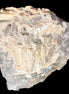 White frosted clear Fluorite 115*110*50mm 943g in sunlight - Rocks and Things Store