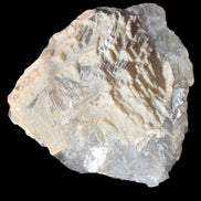 White frosted clear Fluorite 115*110*50mm 943g in sunlight - Rocks and Things Store