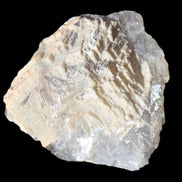 White frosted clear Fluorite 115*110*50mm 943g in sunlight - Rocks and Things Store