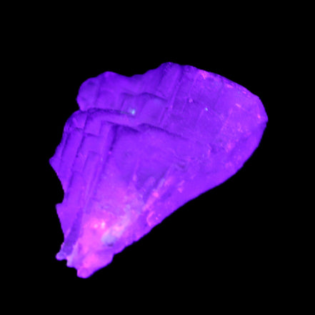 Clear Fluorite 39*28*13mm 16.6g in UV light - Rocks and Things Store