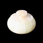 Afghan Jade onyx hand-carved spice jar 72*34mm 273g in sunlight - Rocks and Things Store