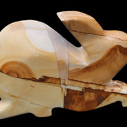 Teakwood marble hand-carved Rabbit 155*105*25mm 571g in sunlight - Rocks and Things Store