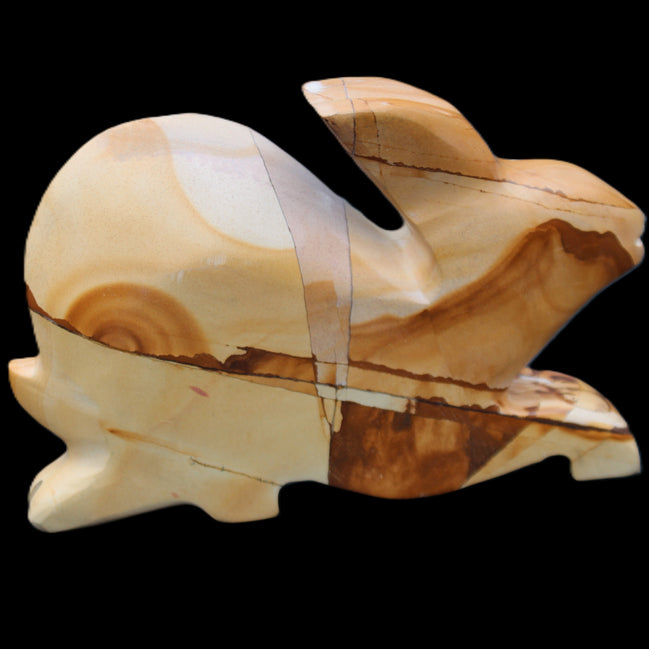 Teakwood marble hand-carved Rabbit 155*105*25mm 571g in sunlight - Rocks and Things Store