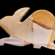Teakwood marble hand-carved Rabbit 155*102*19mm 477g in sunlight - Rocks and Things Store