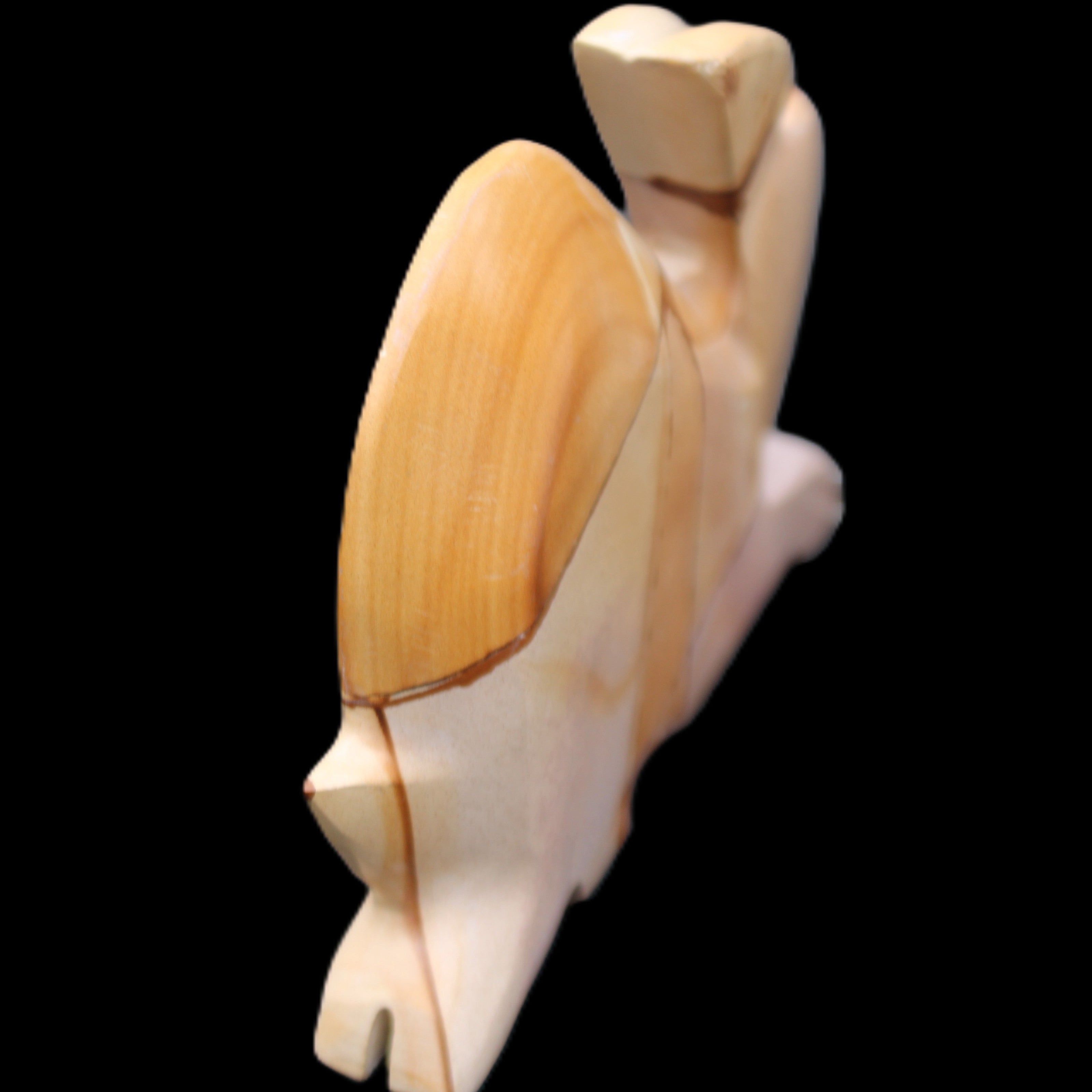 Teakwood marble hand-carved Rabbit 155*102*19mm 477g in sunlight - Rocks and Things Store