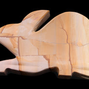 Teakwood marble hand-carved Rabbit 154*103*21mm 548g in sunlight - Rocks and Things Store