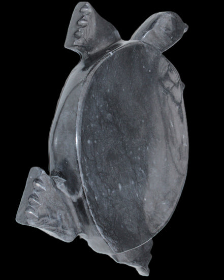 Black Jade hand-carved Turtle platter 155**112*22mm 578g in sunlight - Rocks and Things Store