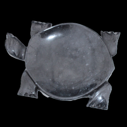 Black Jade hand-carved Turtle platter 155**112*22mm 578g in sunlight - Rocks and Things Store