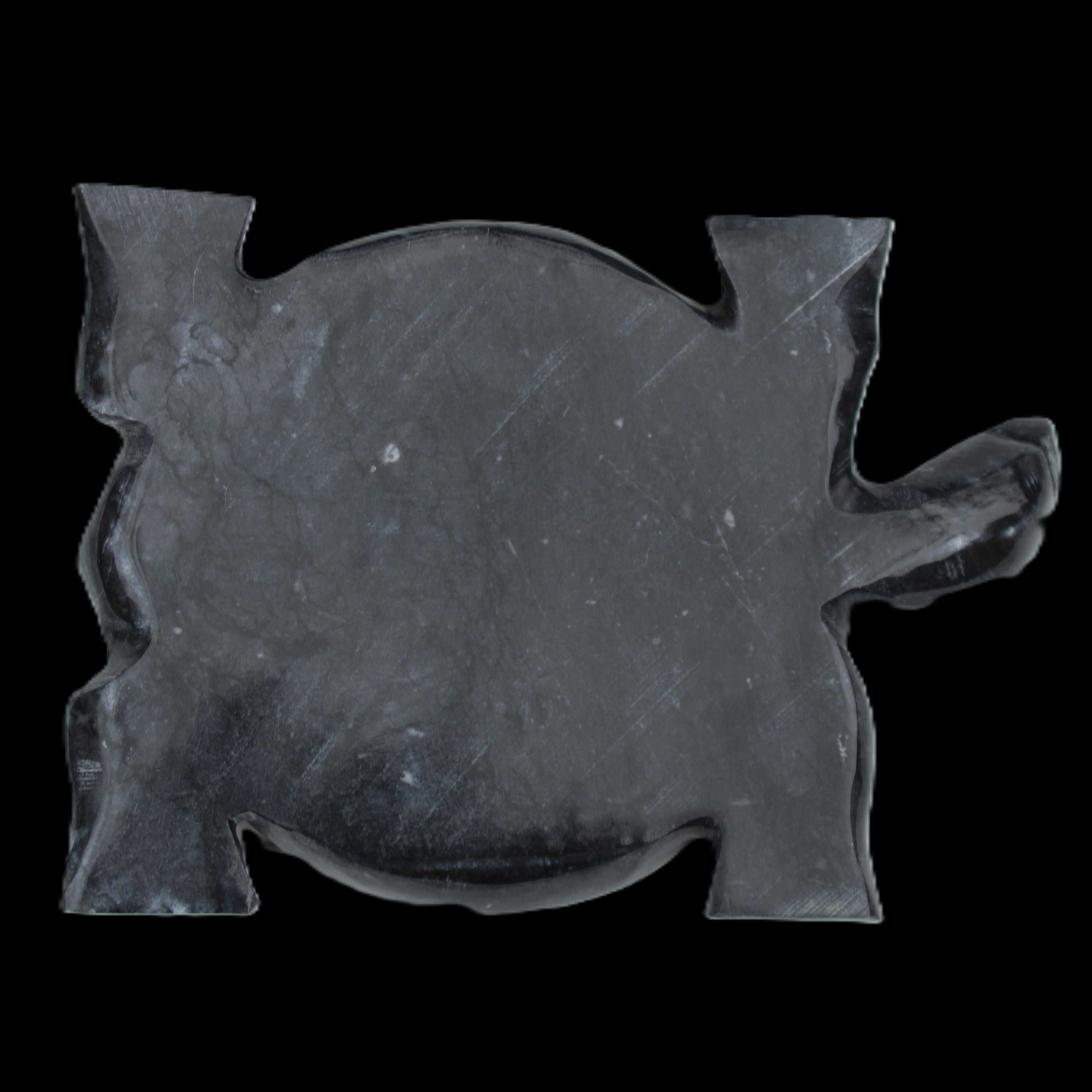 Black Jade hand-carved Turtle platter 155**112*22mm 578g in sunlight - Rocks and Things Store