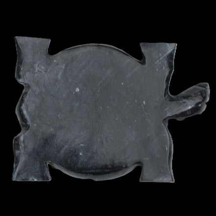 Black Jade hand-carved Turtle platter 155**112*22mm 578g in sunlight - Rocks and Things Store