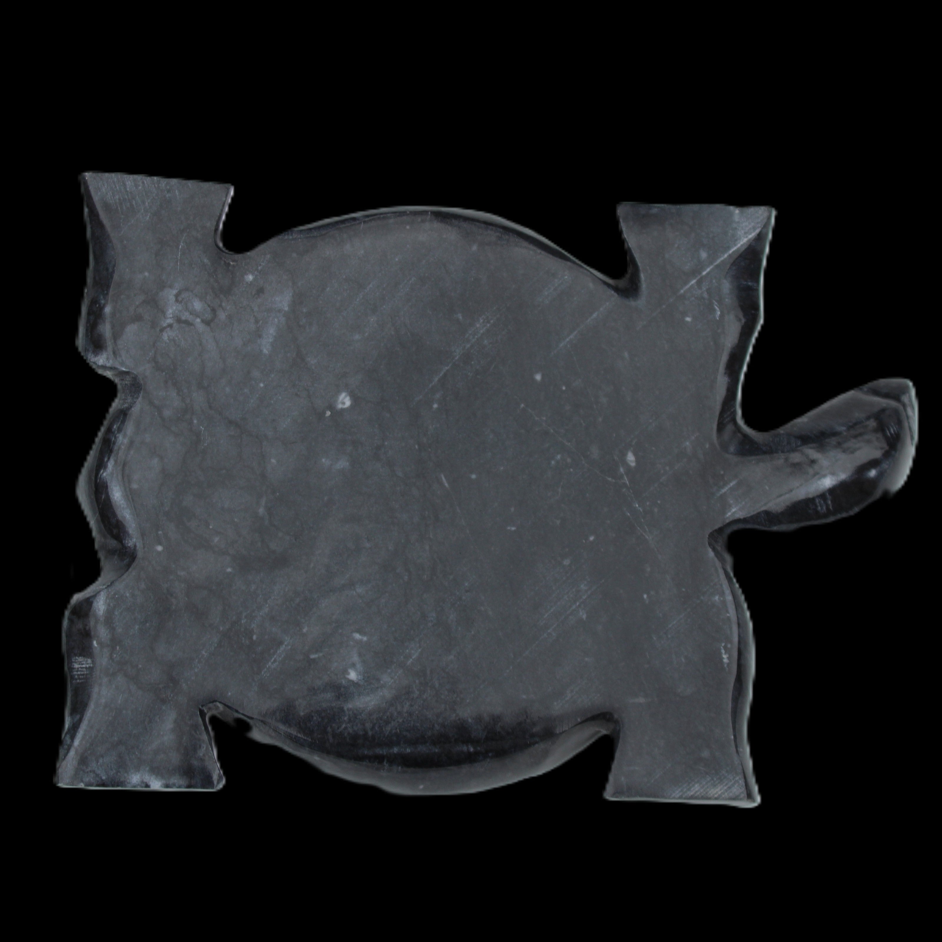 Black Jade hand-carved Turtle platter 155**112*22mm 578g in sunlight - Rocks and Things Store