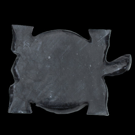Black Jade hand-carved Turtle platter 155**112*22mm 578g in sunlight - Rocks and Things Store