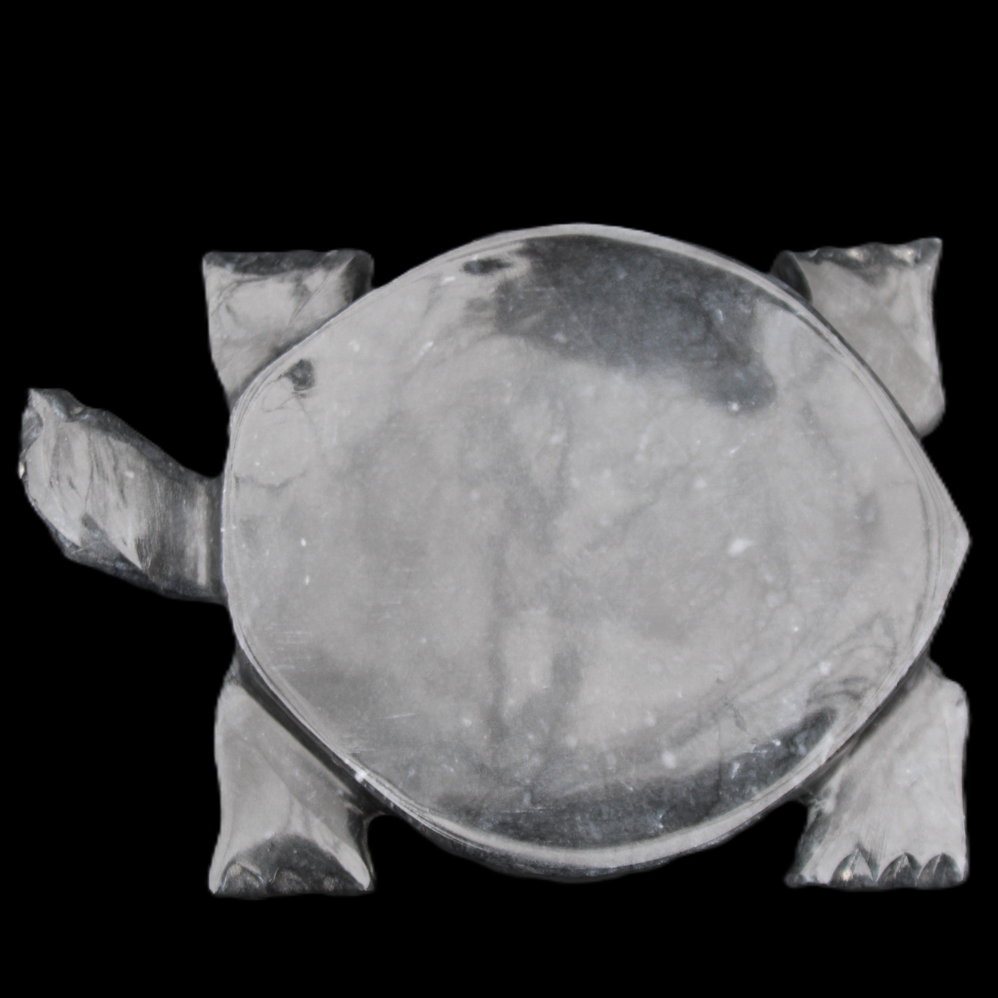 Black Jade hand-carved Turtle platter 155**112*22mm 578g in sunlight - Rocks and Things Store