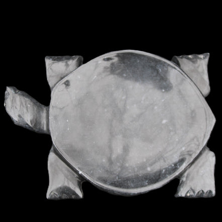 Black Jade hand-carved Turtle platter 155**112*22mm 578g in sunlight - Rocks and Things Store