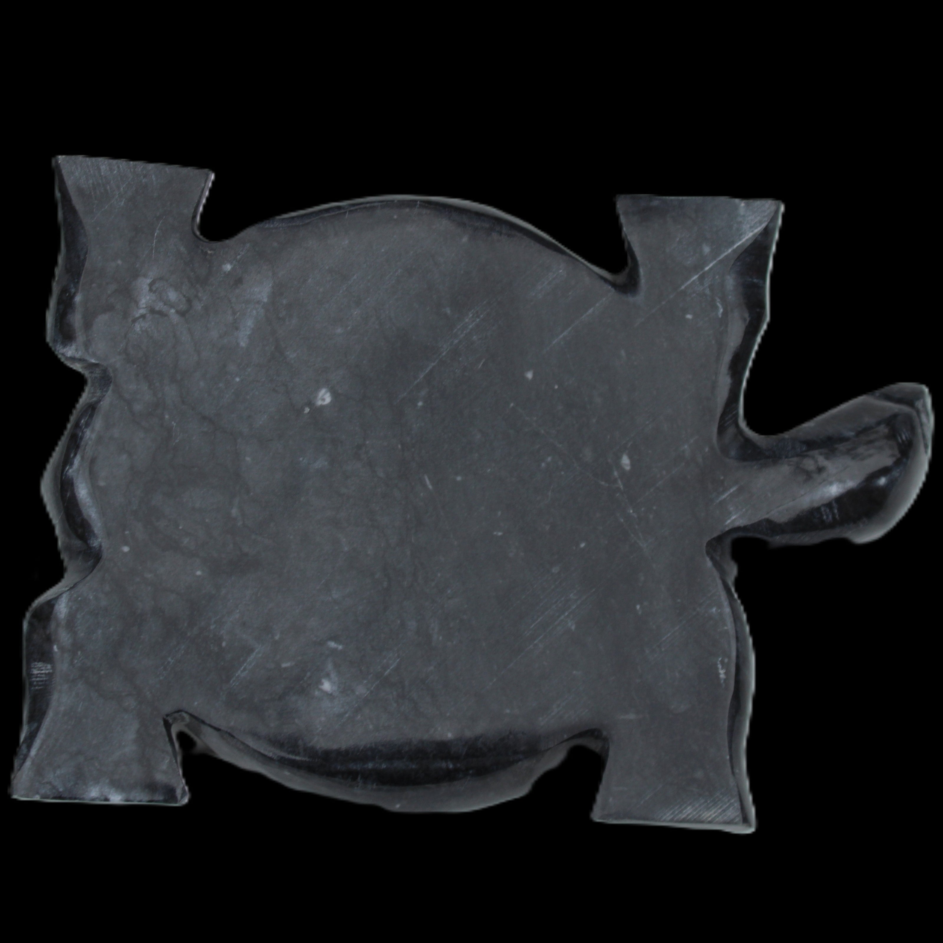 Black Jade hand-carved Turtle platter 155**112*22mm 578g in sunlight - Rocks and Things Store