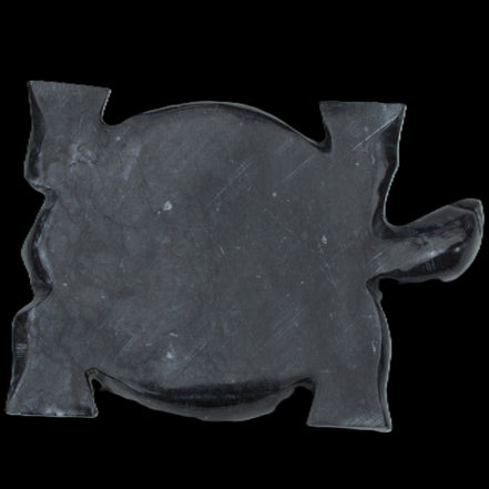 Black Jade hand-carved Turtle platter 155**112*22mm 578g in sunlight - Rocks and Things Store