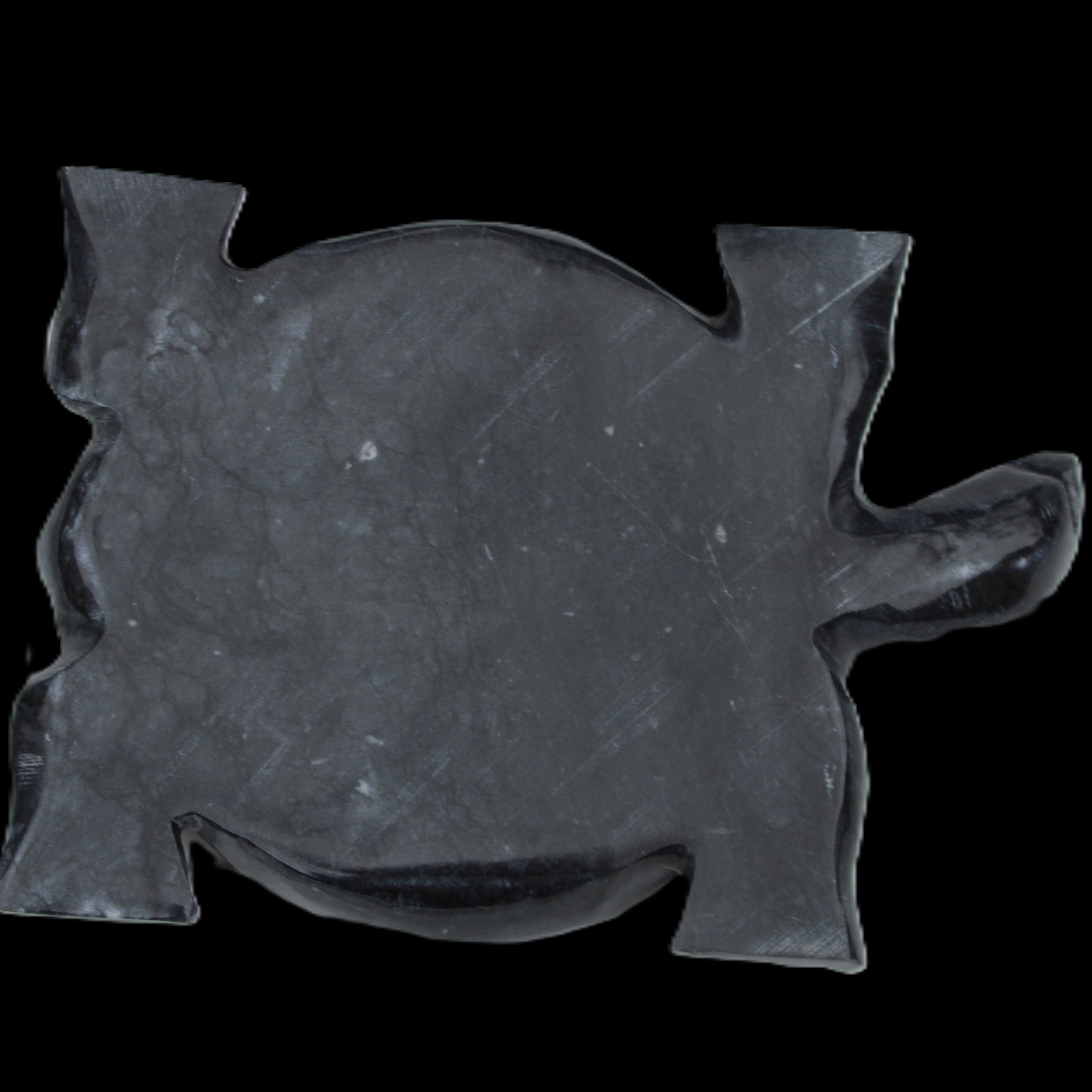 Black Jade hand-carved Turtle platter 155**112*22mm 578g in sunlight - Rocks and Things Store