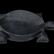 Black Jade hand-carved Turtle platter 155**112*22mm 578g in sunlight - Rocks and Things Store