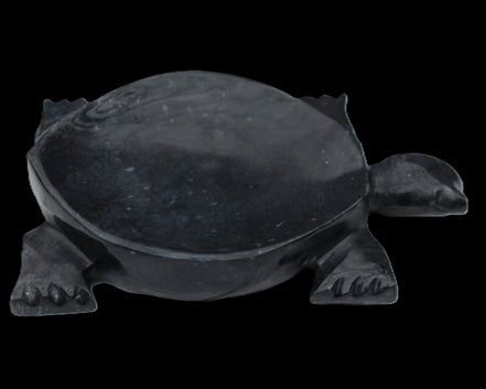 Black Jade hand-carved Turtle platter 155**112*22mm 578g in sunlight - Rocks and Things Store