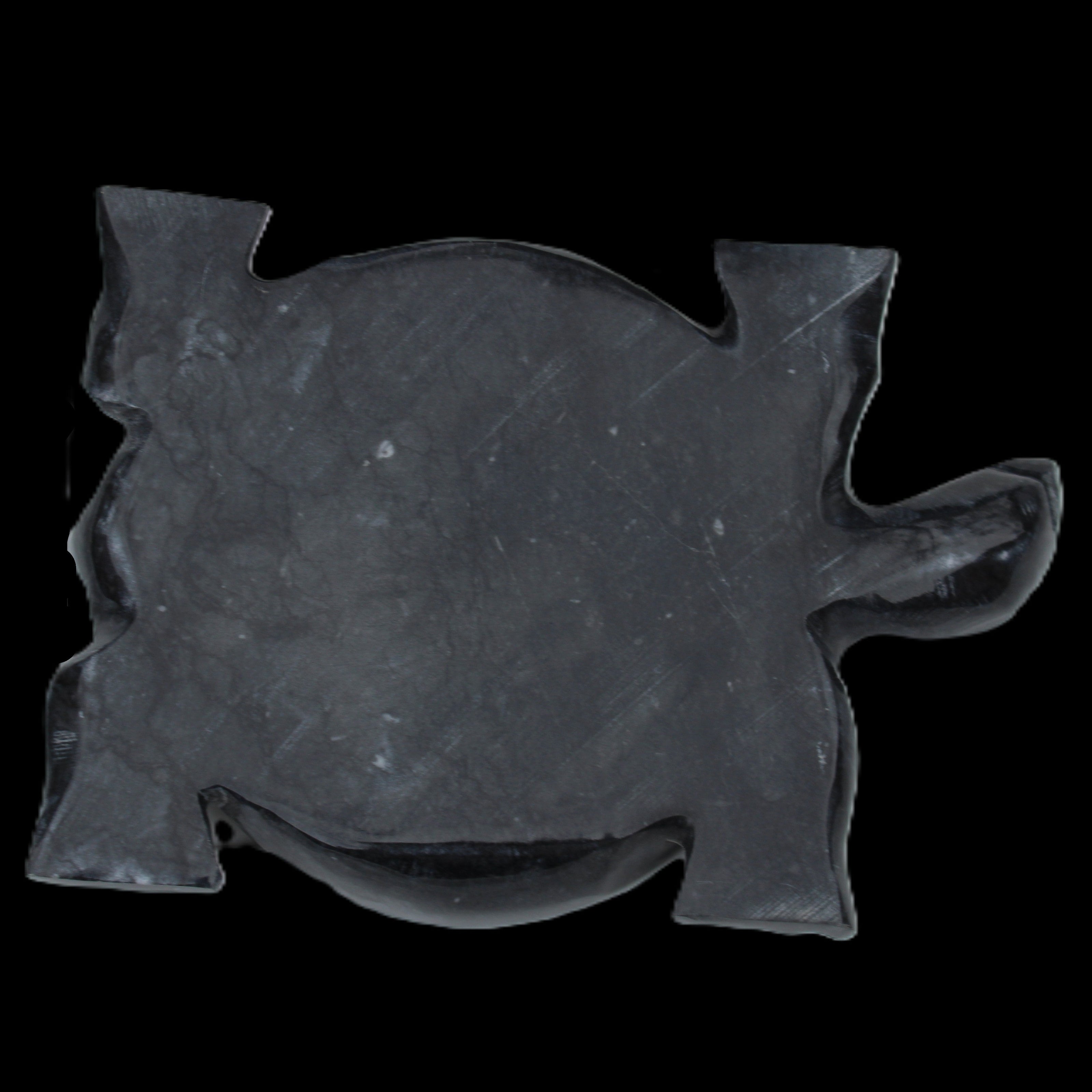 Black Jade hand-carved Turtle platter 155**112*22mm 578g in sunlight - Rocks and Things Store